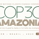 COP30 AMAZONIA ANATEL